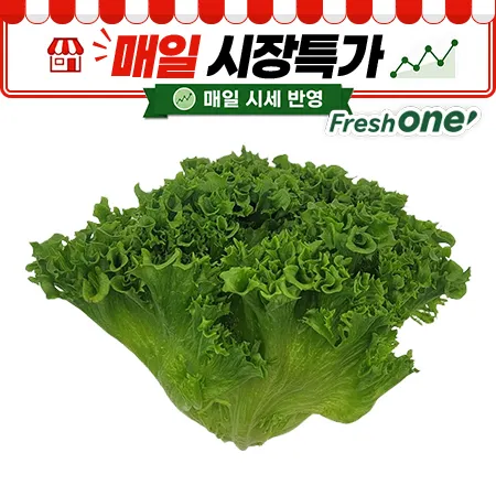 ★매일시장특가★ 프레시원 프릴아이스 500g