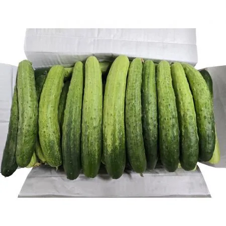 다다기오이(상 한국청과 106번 10Kg/BOX)
