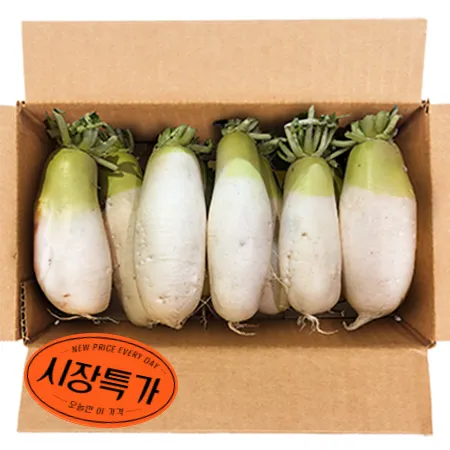 ★매일시장특가★ 무우(10~12수내외 18Kg/BOX) 박스무 특가행사(매일 선착순 200박스) 무