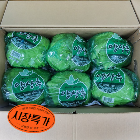 ★매일시장특가★ 국산 양상추 6입/BOX (겉잎미제거)