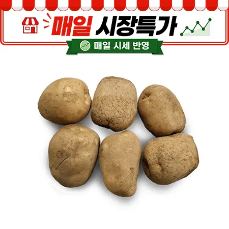 ★매일시장특가★ 프레시원 감자 (대, 80g이상, 2Kg/EA)