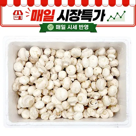 ★매일시장특가★ 양송이버섯(실속 2Kg/BOX)