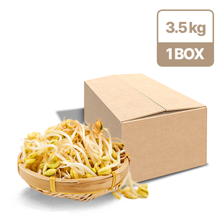★초특가★ 곱슬이 콩나물(단채 3.5Kg/BOX) 외국산