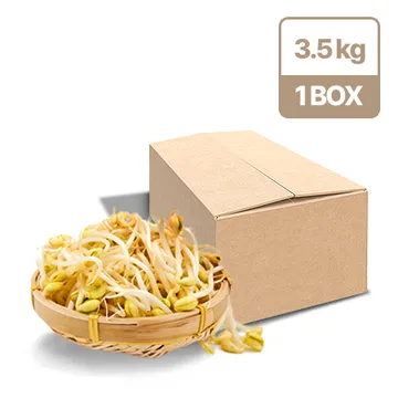 ★초특가★ 곱슬이 콩나물(단채 3.5Kg/BOX) 외국산