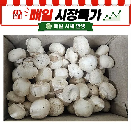 ★매일시장특가★ 양송이버섯 1KG (중국산)