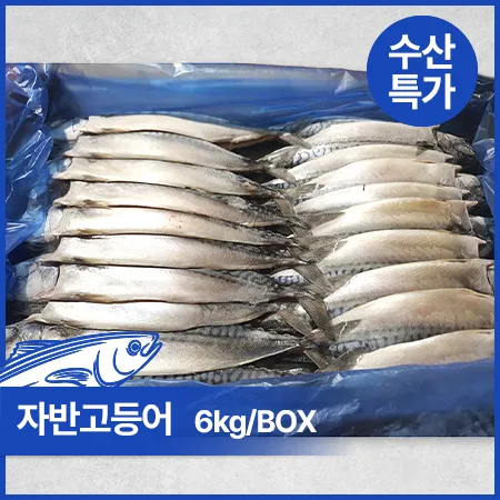 ★초특가★ 자반고등어(중_10손 6Kg/BOX)