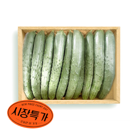 ★매일시장특가★ 취청오이(국내산 상_50입/BOX) 청오이 초특가 채소 야채 오이 취청