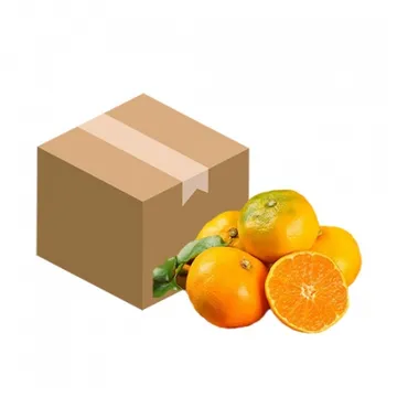 감귤(L_41~46과 5Kg/BOX)/국내산