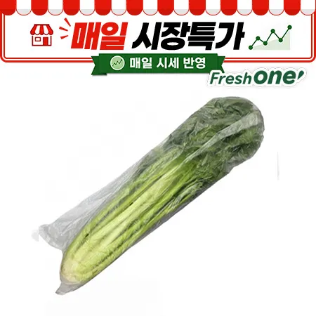★매일시장특가★ 프레시원 샐러리(상 1Kg/EA) 셀러리