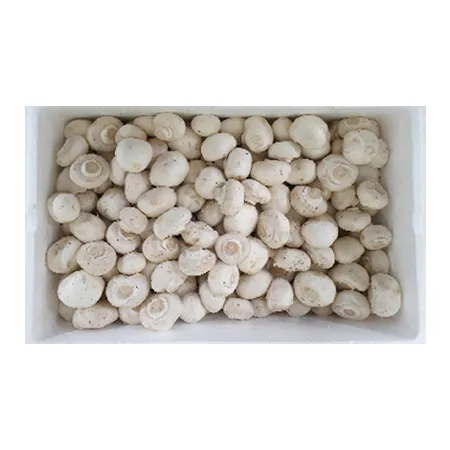 양송이버섯(실속 2Kg/EA)