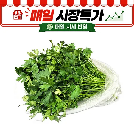 ★매일시장특가★ 이태리파슬리(200g/EA) 파세리