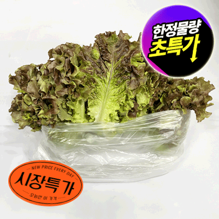 ★매일시장특가★ 적상추(상 500g/EA) 상 상추 초특가 채소 야채