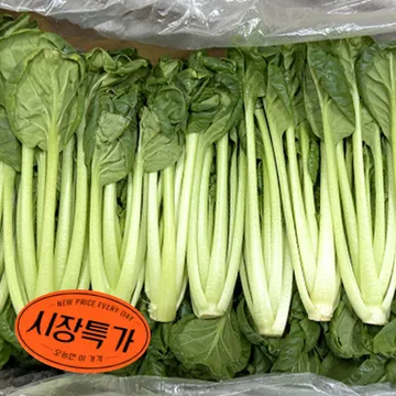 ★매일시장특가★ 비타민(상 2Kg/BOX) 초특가 채소 야채