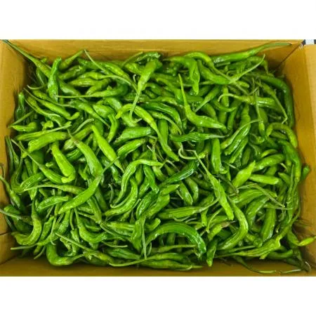 꽈리고추(상 한국청과 106번 4Kg/BOX)