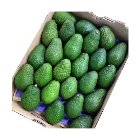 ★매일시장특가★ 아보카도 (4Kg/BOX) 초특가 과일 이미지