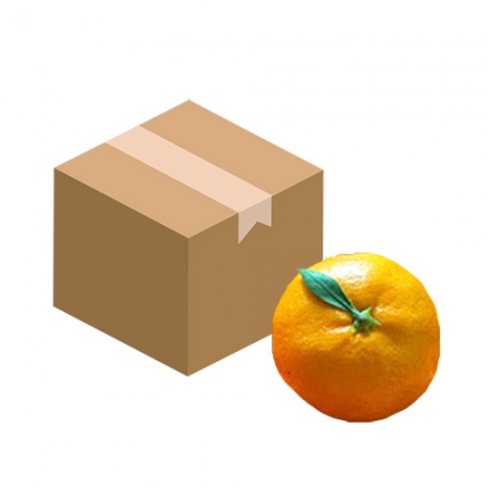 감귤(S_61~79과 5Kg/BOX)/국내산