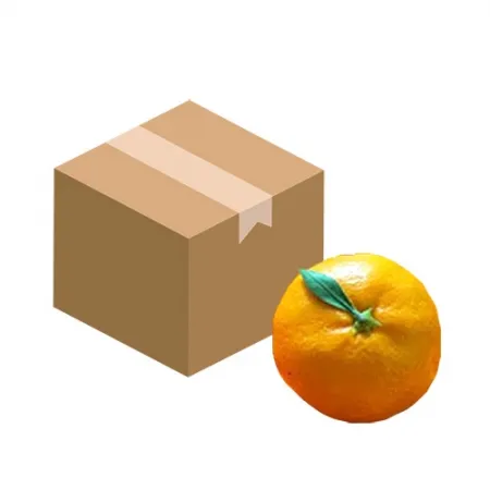 감귤(S_61~79과 5Kg/BOX)/국내산