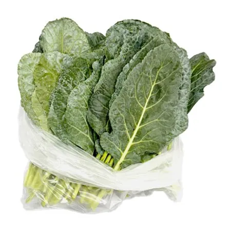 ★매일시장특가★ 프레시원 케일(상 500g/EA) 초특가 채소 야채 쌈케일 이미지