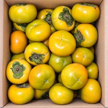 단감 (22-27과 5Kg/BOX)