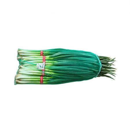 흙대파(대아청과 1099번 10단입 망 9Kg/EA)