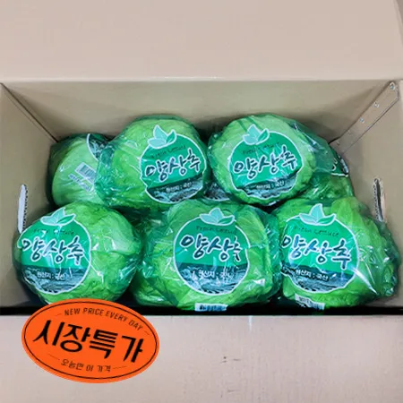 국산 양상추 12입/BOX (겉잎미제거)