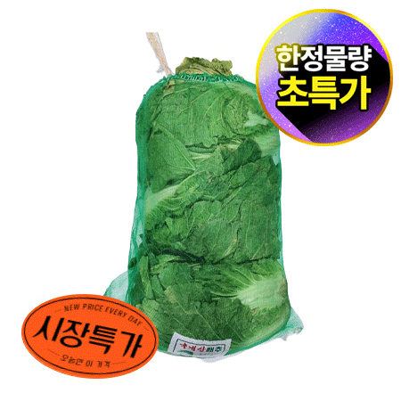 ★매일시장특가★ 배추(52망) 초특가 야채  농산