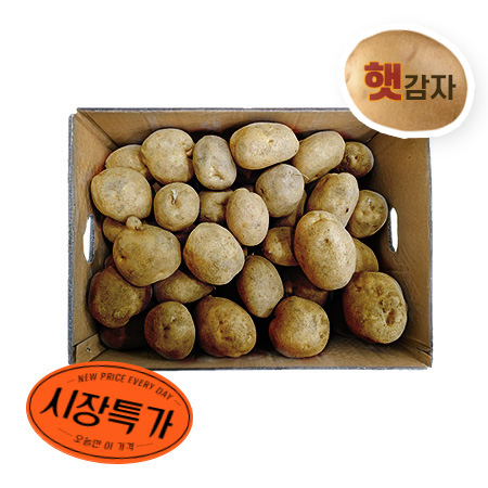 ★매일시장특가★ 감자 왕왕 20kg/BOX (180g이상/개)