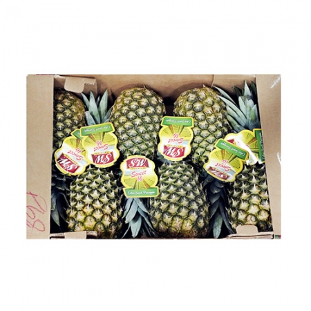 골드파인애플(6수 12Kg/BOX)/필리핀산