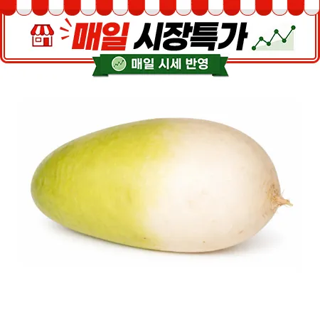 ★매일시장특가★ 무우 1KG (무선별 KG단위 출고)