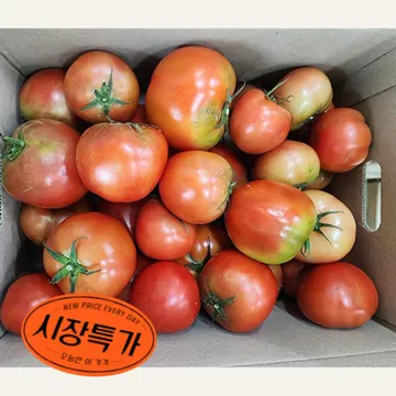 ★매일시장특가★ 토마토(완숙_무선별 주스용 5Kg/BOX)
