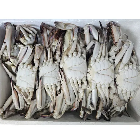 엠케이씨푸드 꽃게(라운드_300~400g/마리 4Kg/EA)