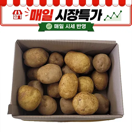 ★매일시장특가★ 프레시원 감자 (왕왕, 180g이상, 5Kg/BOX)