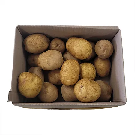 ★매일시장특가★ 감자 왕왕 5Kg/BOX (180g이상/개) 이미지