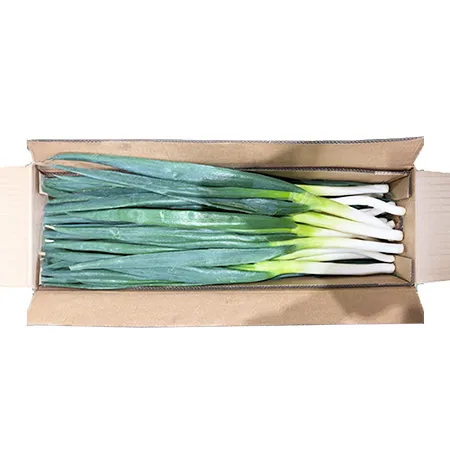 ★매일시장특가★ 깐대파(중국산 10Kg/BOX) 대파 이미지