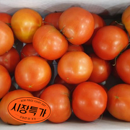 ★매일시장특가★ 토마토(완숙 2~3번구 25-33과 5KG/BOX)