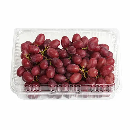 씨없는적포도 (1Kg/EA)