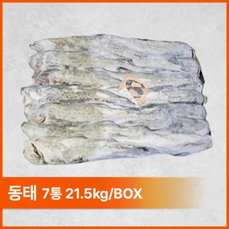 동태(7통 21.5Kg/BOX)