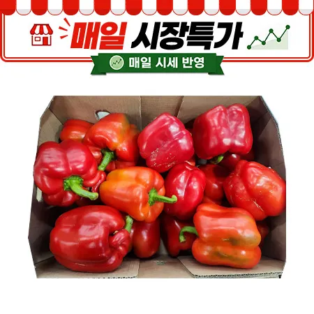 ★매일시장특가★ 빨강파프리카 (실속, 5Kg/BOX) 못난이