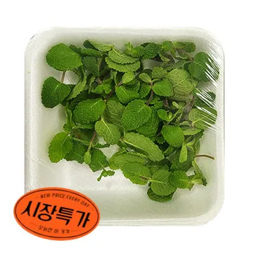 ★매일시장특가★ 애플민트(팩포함 10g/EA)