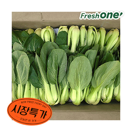 ★매일시장특가★ 청경채 상 4Kg/BOX 초특가 채소 야채