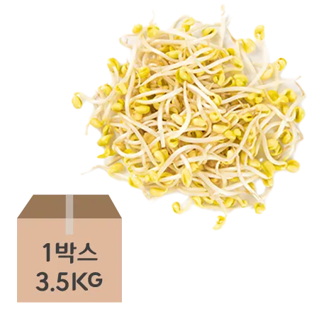 ★초특가★ 곱슬이 콩나물(단채 3.5Kg/BOX) 외국산