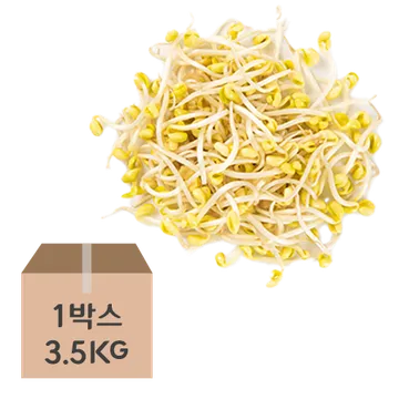 ★초특가★ 곱슬이 콩나물(단채 3.5Kg/BOX) 외국산