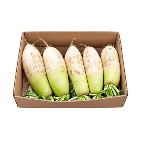 무우(대아청과 1099번 10수내외 18Kg/BOX)