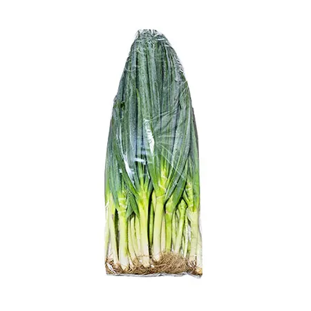 흙대파(5Kg/EA)