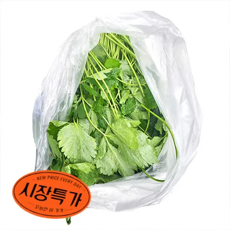 ★매일시장특가★ 프레시원 참나물(상 500g/EA) 초특가 채소 야채