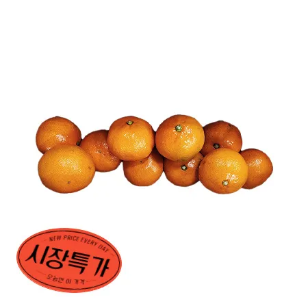 ★매일시장특가★ 감귤 (M_10~11과 1Kg/EA) 과일 초특가