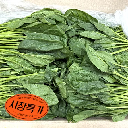 ★매일시장특가★ 시금치(상 4Kg/BOX) 김밥재료 김밥용 초특가 채소 야채