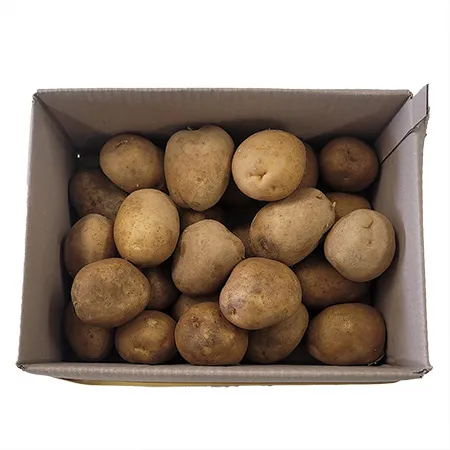 ★매일시장특가★ 감자 왕특 5Kg/BOX (150g이상/개) 이미지