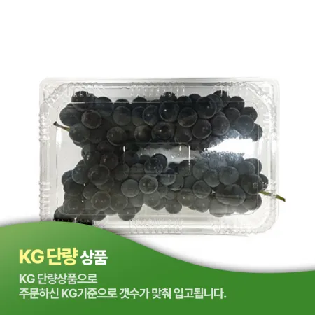 캠벨포도(1Kg/EA)