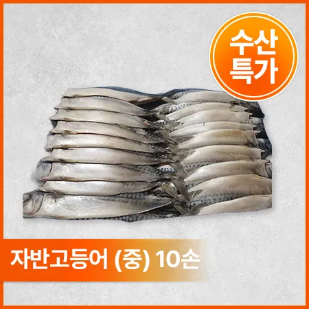 노르웨이 자반고등어(조림용_중_10손 6Kg/BOX)
